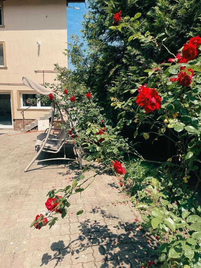 Apartamento Cozy Glen Târgu-Mureş Exterior foto